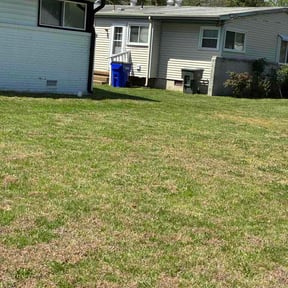 Bush Trimming by Roy Reddick reviewed on April 5, 2026