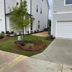 residential landscaping by Terry Collins reviewed on August 16, 2025