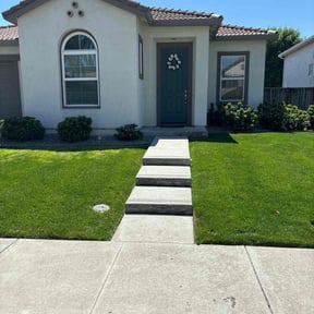 turf care by My Dad Can reviewed on July 11, 2025