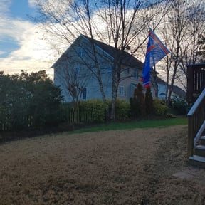 Bush Trimming by #1 And Done Lawn care reviewed on August 21, 2025