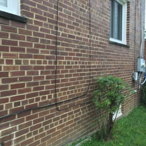 Bush Trimming by Nice Lawns on Wheels reviewed on August 20, 2025