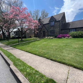 residential landscaping by Pollard Landscaping reviewed on August 20, 2025