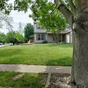 yard service by Stormont preservation reviewed on August 18, 2025