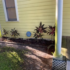 Leaf Removal by Essence of Nature Lawn Care Service reviewed on September 10, 2025