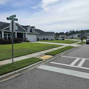 yard service by Hd landscape reviewed on August 16, 2025