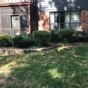Bush Trimming by Chase property management and improvements llc reviewed on August 20, 2025