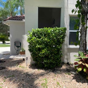 Bush Trimming by B&B Landscaping and Hauling reviewed on August 19, 2025