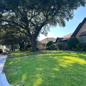 landscaping services by Lion's Landscaping reviewed on August 19, 2025