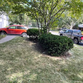 Bush Trimming by Geaux Superior Landscaping reviewed on August 17, 2025