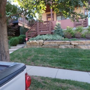 Bush Trimming by Cut My Green reviewed on August 15, 2025