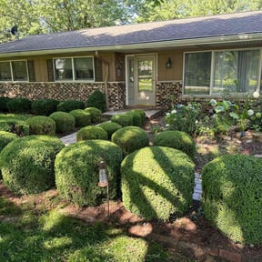 Bush Trimming by A Cut Above Lawn & Landscaping reviewed on August 16, 2025