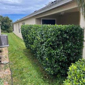 Bush Trimming by Just us landscaping LLC reviewed on August 15, 2025