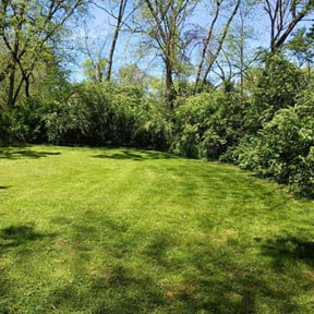 landscape maintenance by EV Great Valley Landscaping,LLC. reviewed on August 17, 2025