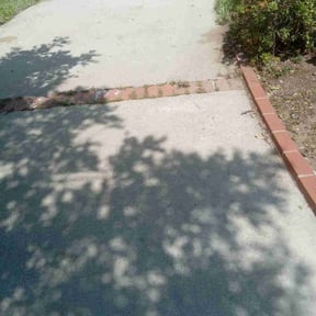 Leaf Removal by Manicured Lawns reviewed on September 30, 2025