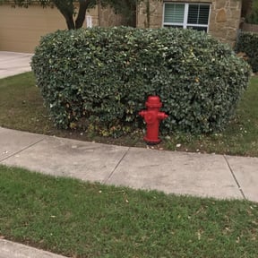 Bush Trimming by Red Maple Lawn Care reviewed on August 17, 2025