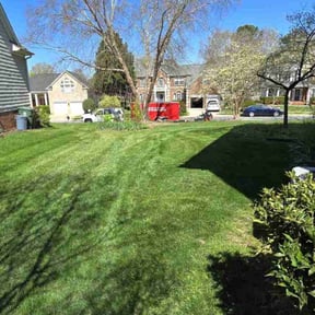 landscaping by SK Cuts &amp; Design reviewed on December 11, 2025