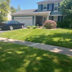 yard care by 3D GARDEN DESIGN and lawn care reviewed on August 15, 2025