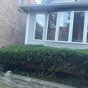 Bush Trimming by Creative Lawns LLC reviewed on October 21, 2025