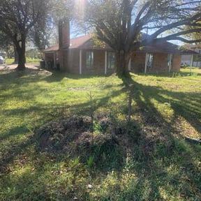 Bush Trimming by J&J property management reviewed on August 15, 2025