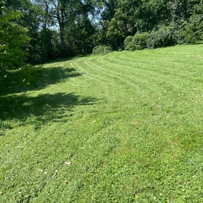 turf care by Re Image lawn care reviewed on October 23, 2023