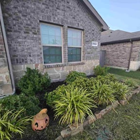 grass maintenance by Bo's lawn care reviewed on August 22, 2023