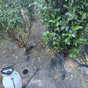 Flower Bed Weeding by Bryson Landscaping, LLC reviewed on October 13, 2026