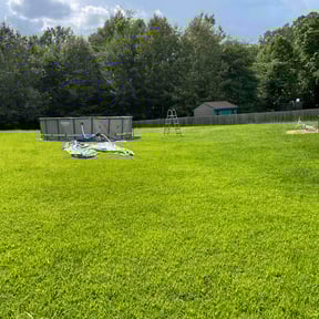 Lawn Mowing by We get it lawn care reviewed on August 18, 2025