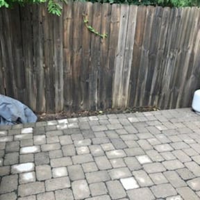 Flower Bed Weeding by Yard ReZcue LLC reviewed on August 18, 2025