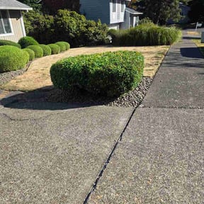 Bush Trimming by Brook and Kenzie's Lawn Service reviewed on August 2, 2026