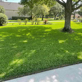 grass cutting by Delgado landscaping reviewed on August 1, 2025