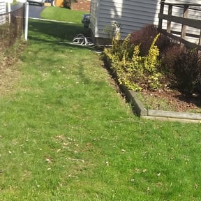 Leaf Removal by Home Care by The Beach LLC reviewed on August 15, 2025
