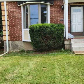 Bush Trimming by Wring's Lawn Care reviewed on August 16, 2025