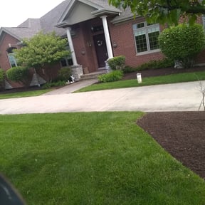 Bush Trimming by Fisher's Lawn & Walls reviewed on August 16, 2025
