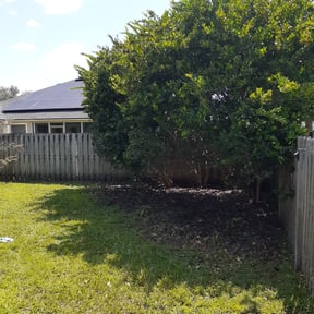 Bush Trimming by AW landscaping reviewed on July 30, 2023