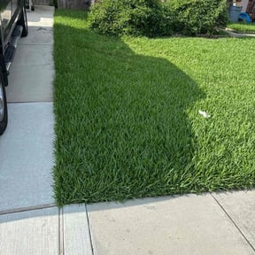 landscaping by Gutter Magic reviewed on August 16, 2025