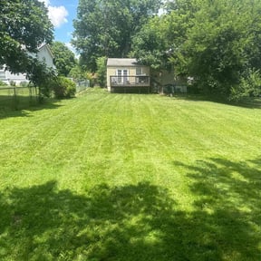 residential landscaping by Zebra Cuts Lawn & Landscaping LLC reviewed on August 15, 2025