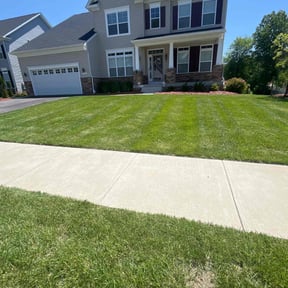 landscaping services by Green T's Lawn & Landscape reviewed on August 19, 2025