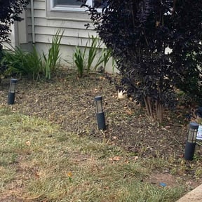 Flower Bed Weeding by A.V Masonry &amp; Construction reviewed on November 9, 2025