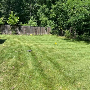 lawn care by Nature's Canvas reviewed on April 9, 2024