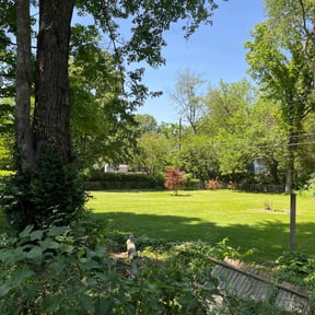 residential landscaping by Omar Martinez reviewed on August 21, 2025