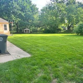 yard work by LaBriere Competition Services reviewed on August 17, 2025