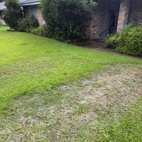 Bush Trimming by Brooks lawn care reviewed on August 21, 2025