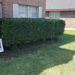 Bush Trimming by Allens lawncare LLC reviewed on August 18, 2025
