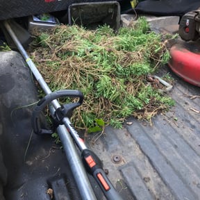 Flower Bed Weeding by Jayes Lawn Adventures reviewed on August 18, 2025