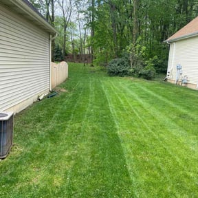 landscaping by Cruz Crewz LLC reviewed on August 21, 2025