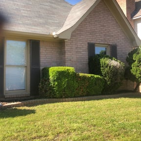 Bush Trimming by Lawn Care Solutions reviewed on August 14, 2025