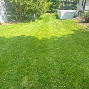 yard service by LIGHTNING LANDSCAPING & LAND MANAGEMENT reviewed on August 21, 2025