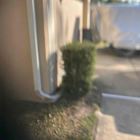 Bush Trimming by Champion reviewed on August 16, 2025