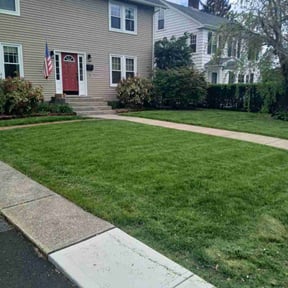 yard work by A Step Above Lawn Care LLC reviewed on August 19, 2025