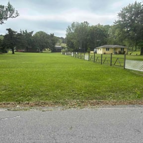 yard care by Trevor Hall reviewed on November 22, 2025